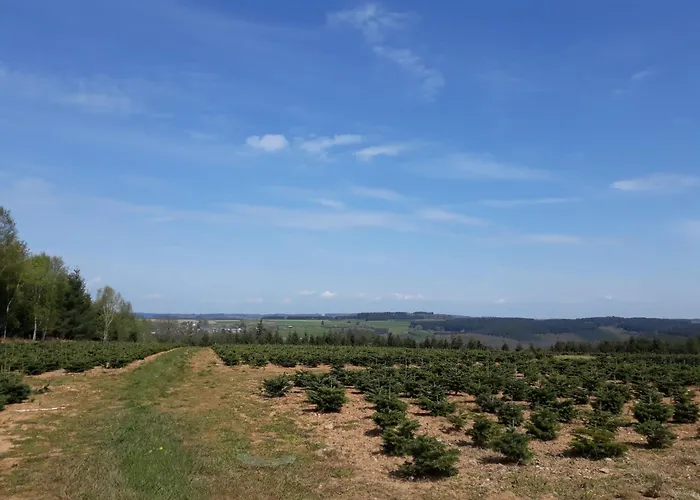 Au Coeur D'alle By Belvilla-double Apartment *